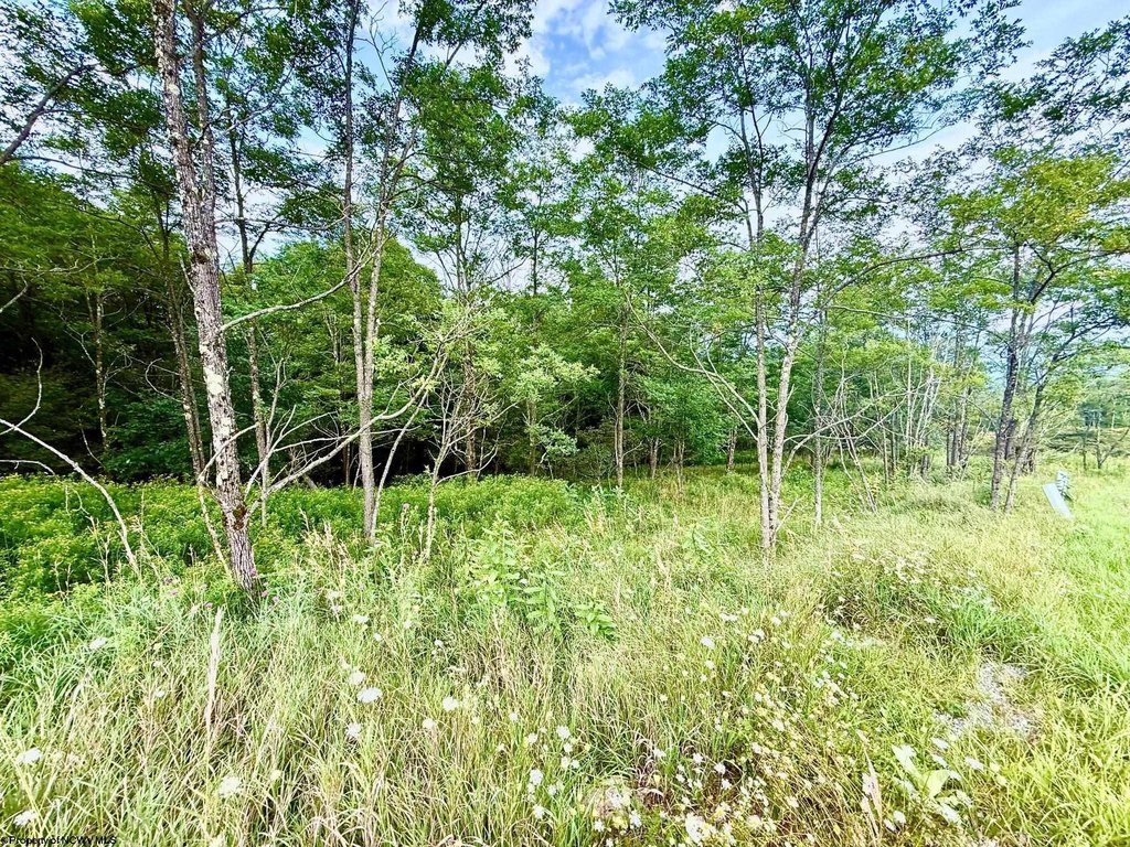 Picture 6