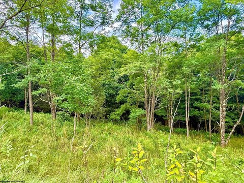 Lots/Land, Harman, WV