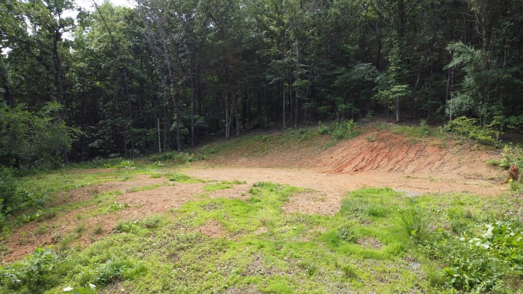 Picture 2