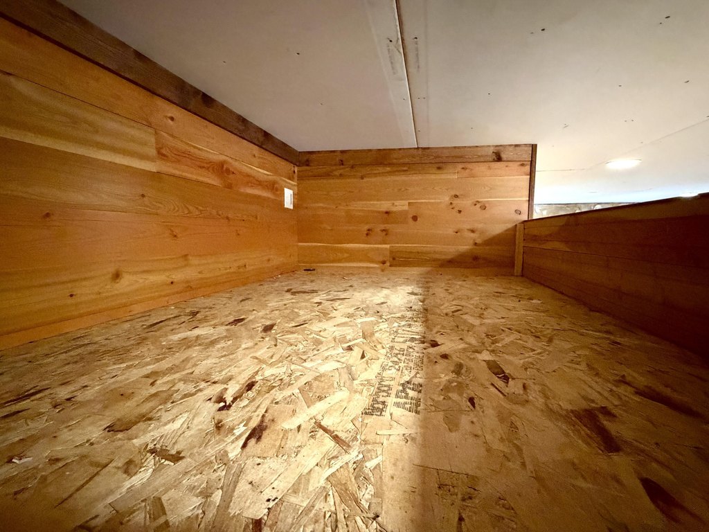 Picture 51