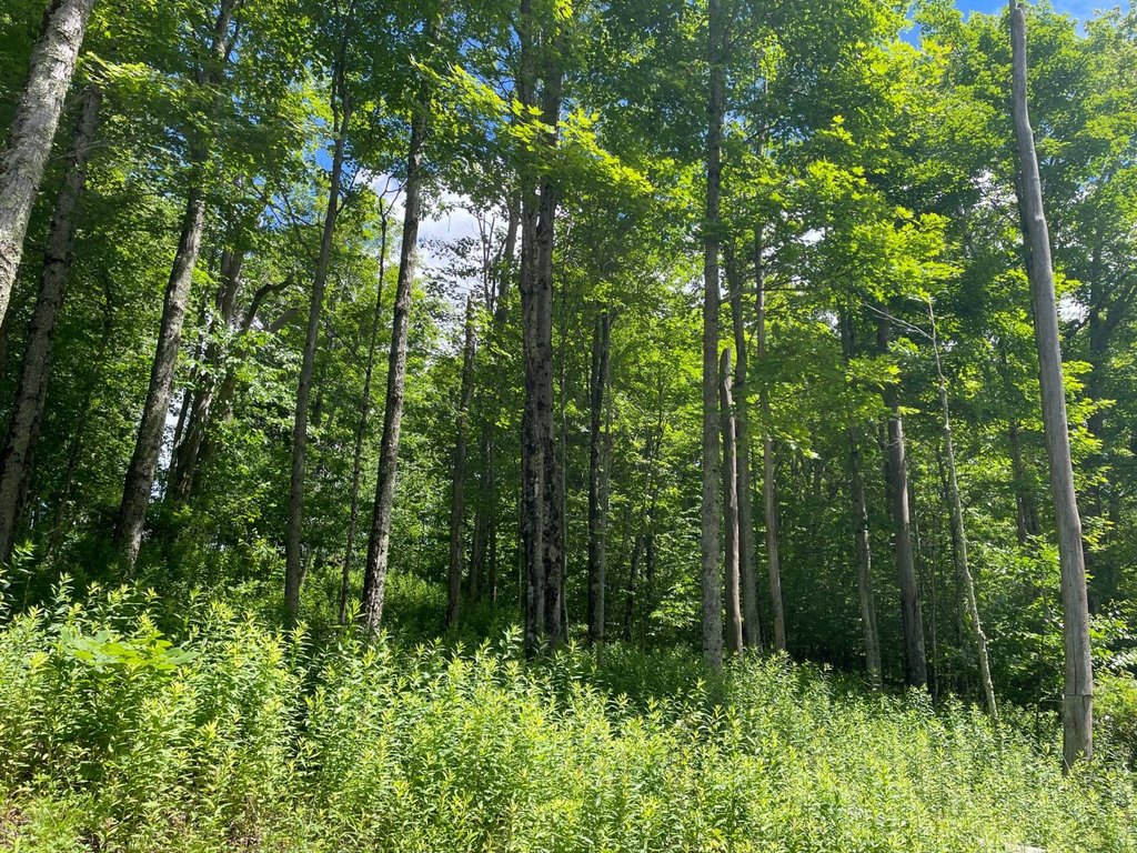 Picture 23