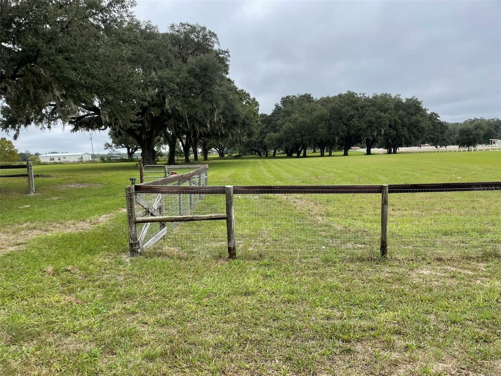 10 Acres in Williston, FL