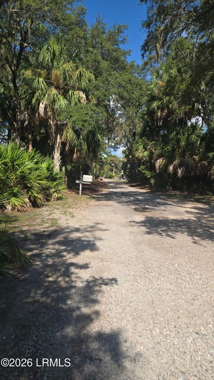 Picture 20