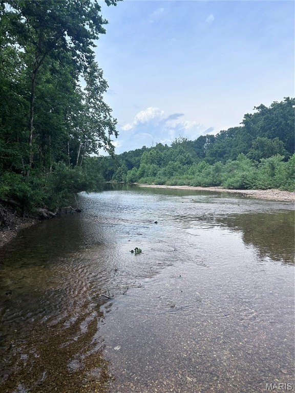 Picture 8