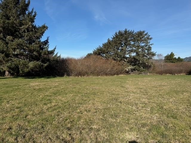 Picture 25