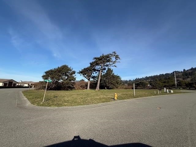 Picture 17