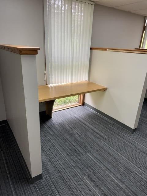 Picture 24