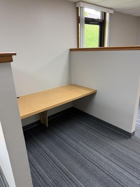 Picture 25
