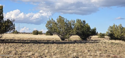 40 Acres in Ash Fork