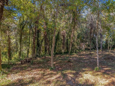 Residential Lot in Tallahassee