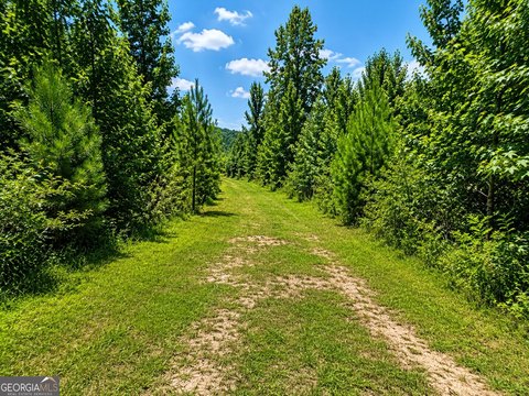 Land with Paved Road Frontage
