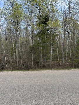 Mackinaw City Land For Sale