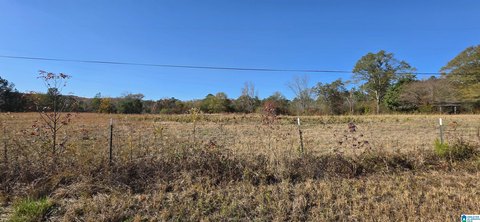 LAND - OHATCHEE, AL