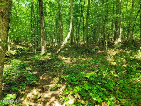 Lots & Acreage, Crossville, TN