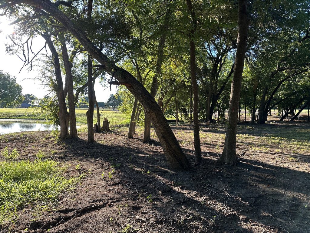 Picture 11