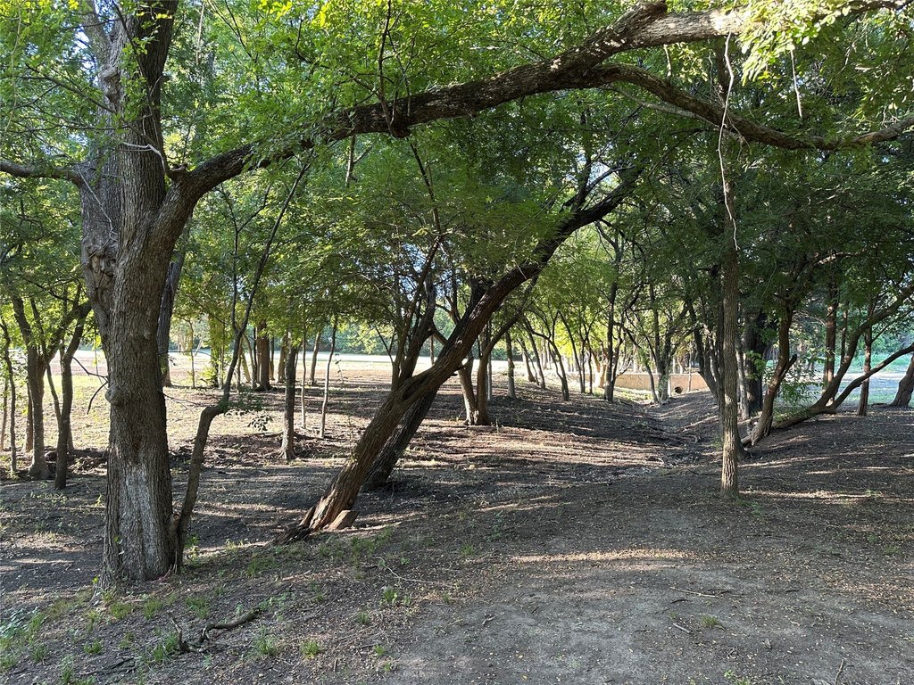 Picture 13