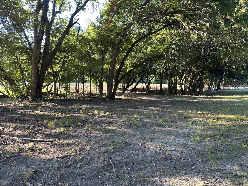 Picture 12