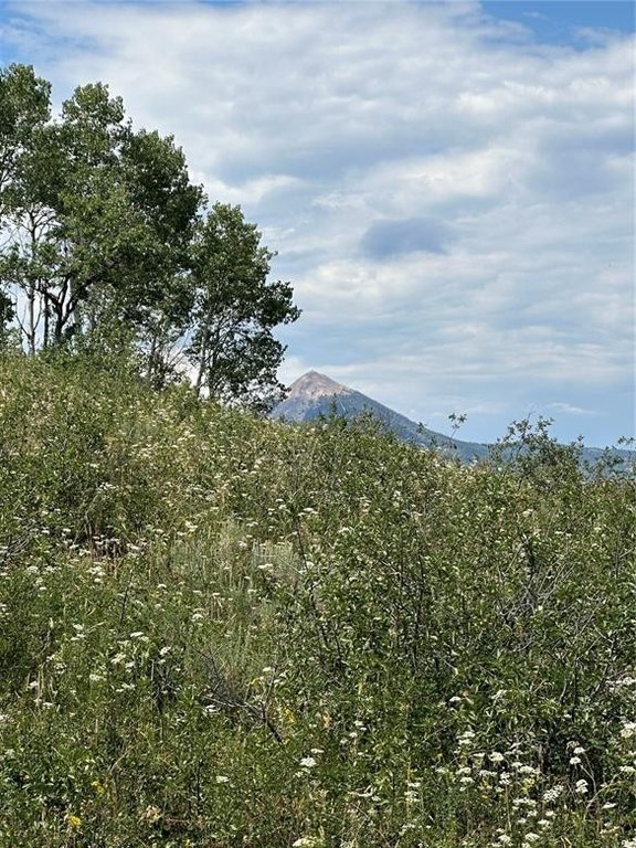 Picture 33