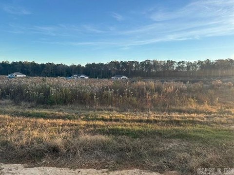 Residential Lot in Bauxite, AR
