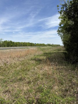 71 Acres Near Russellville