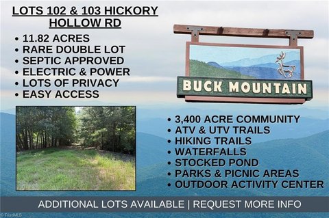 Large Double Lot in Buck Mountain