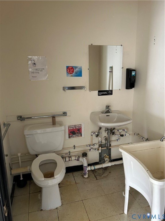 Picture 7