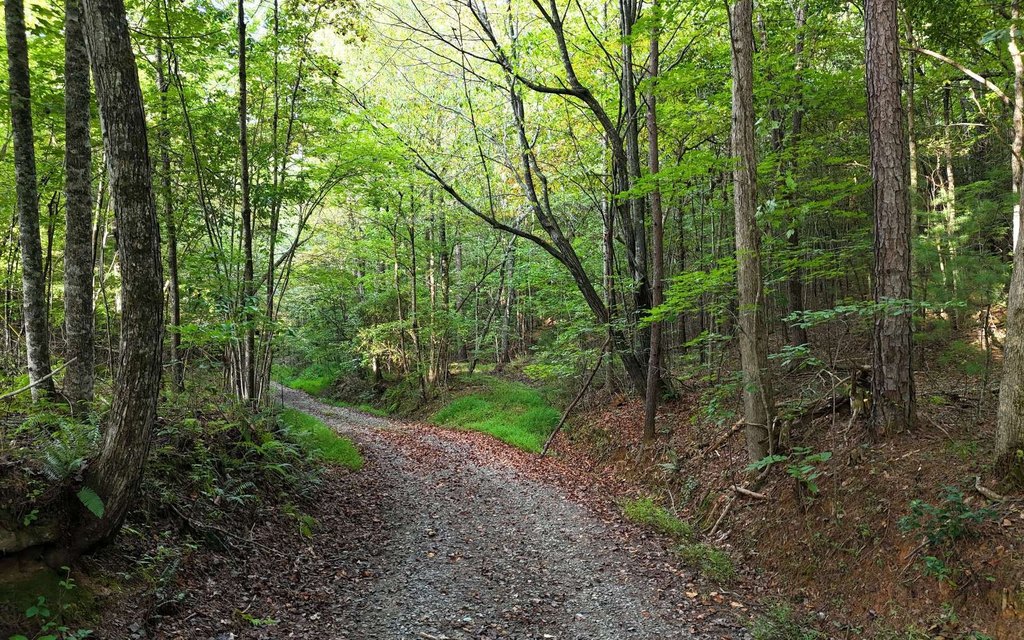 Picture 8