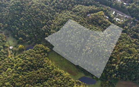 Unrestricted Acreage in Mineral Bluff