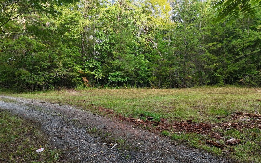 Picture 3