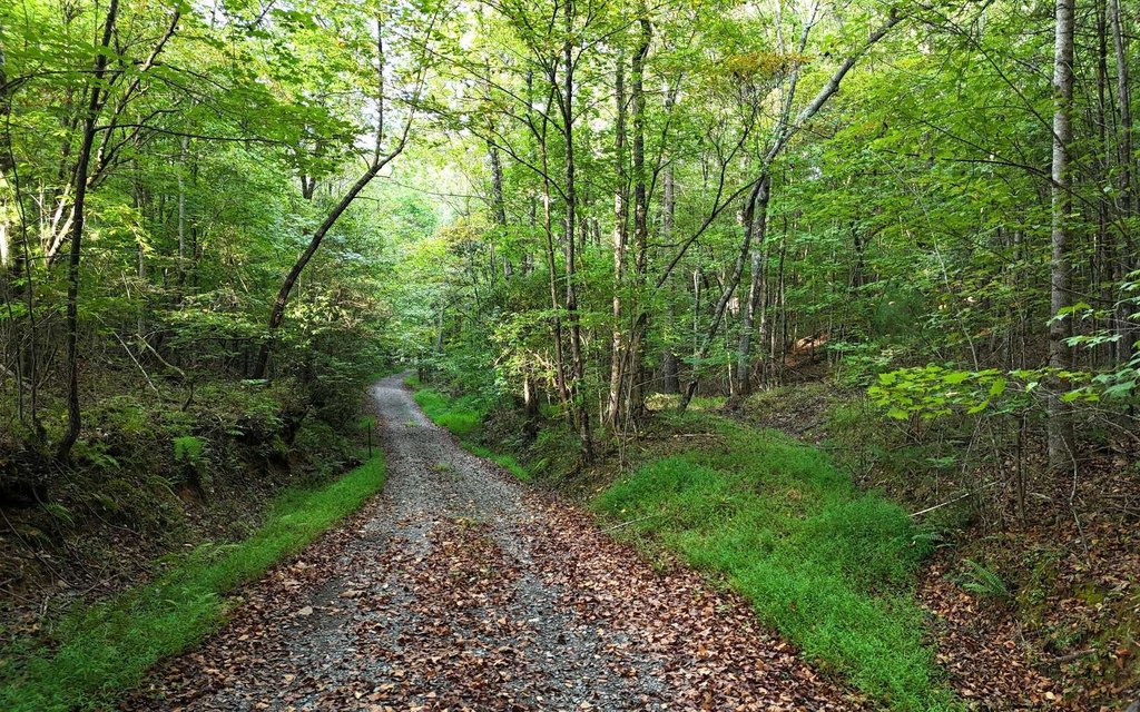Picture 9