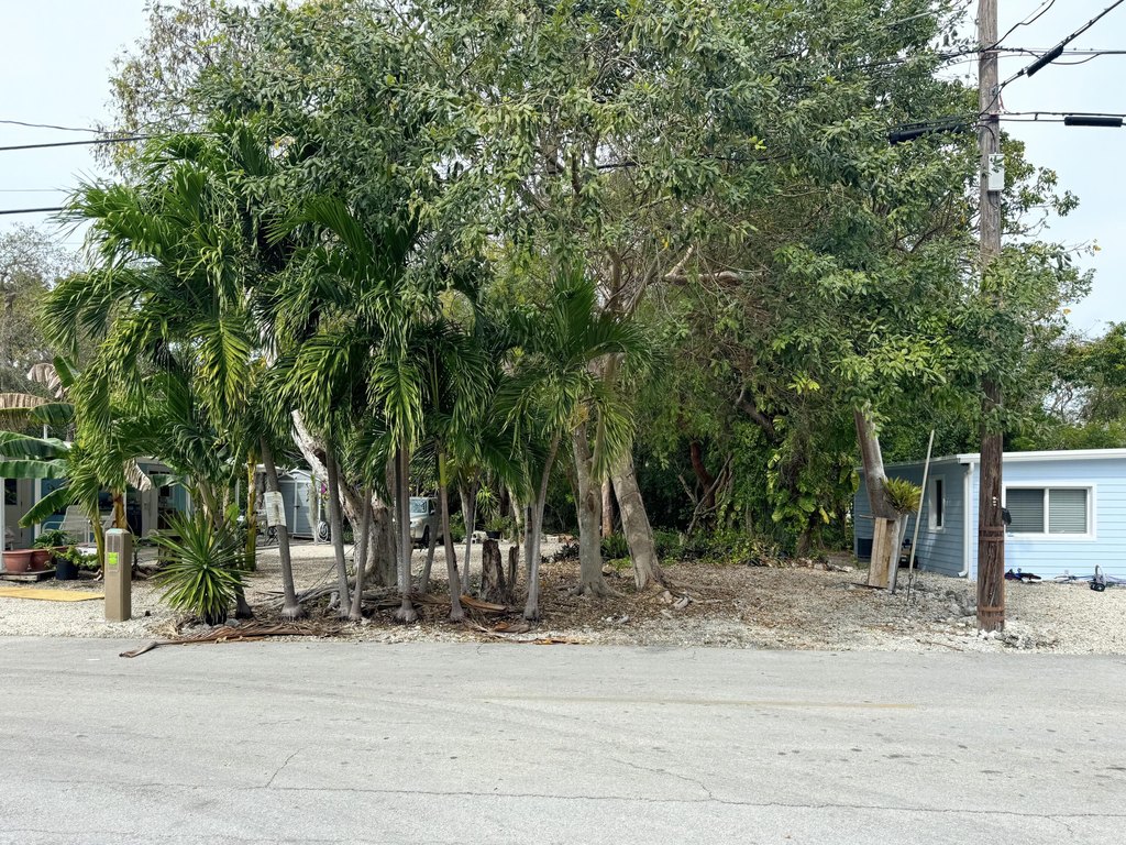Picture 4