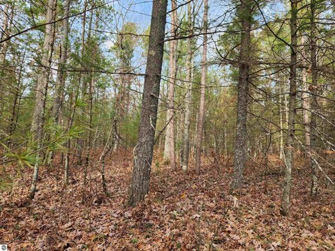 Hunting Land with Direct State Access