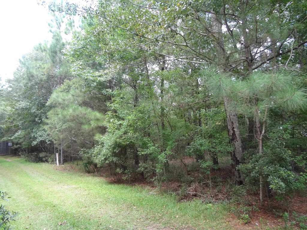 Picture 4