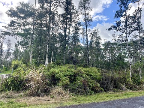 Vacant Lot in Growing Ainaloa