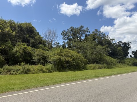 LAND - Walnut Hill, FL