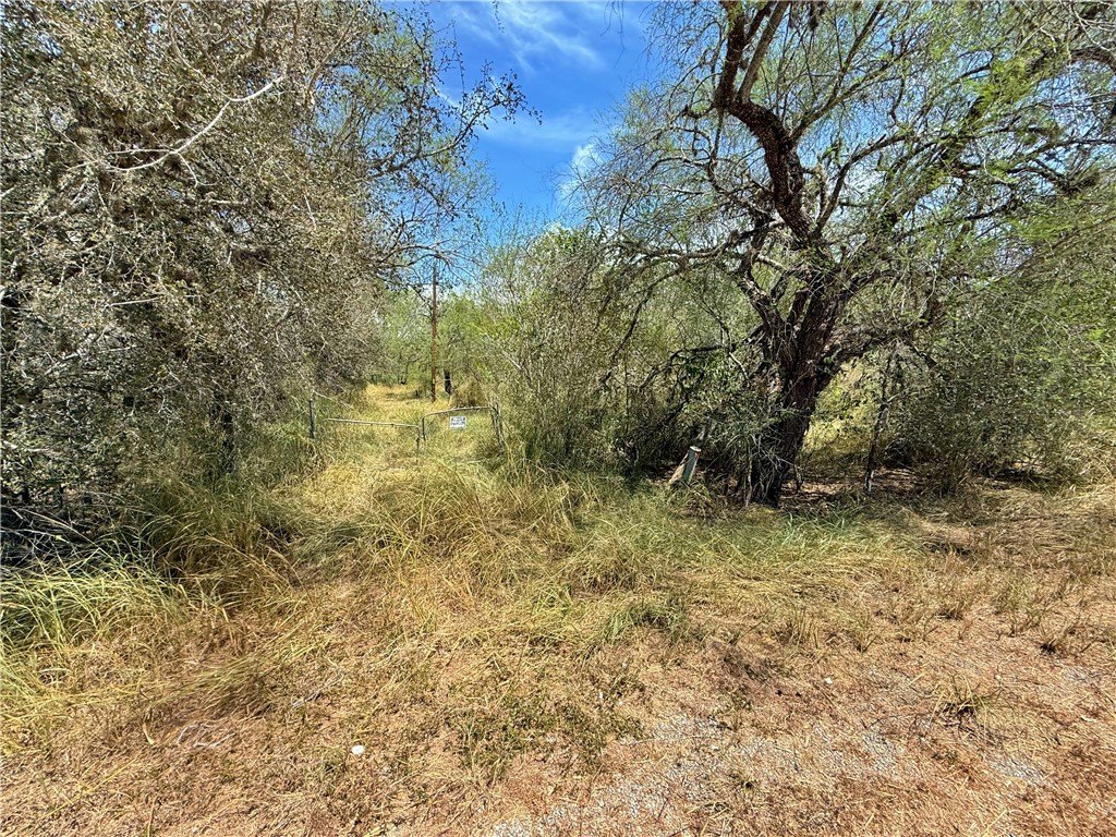 Picture 18