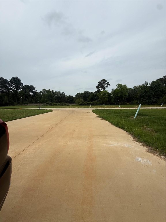 Picture 8