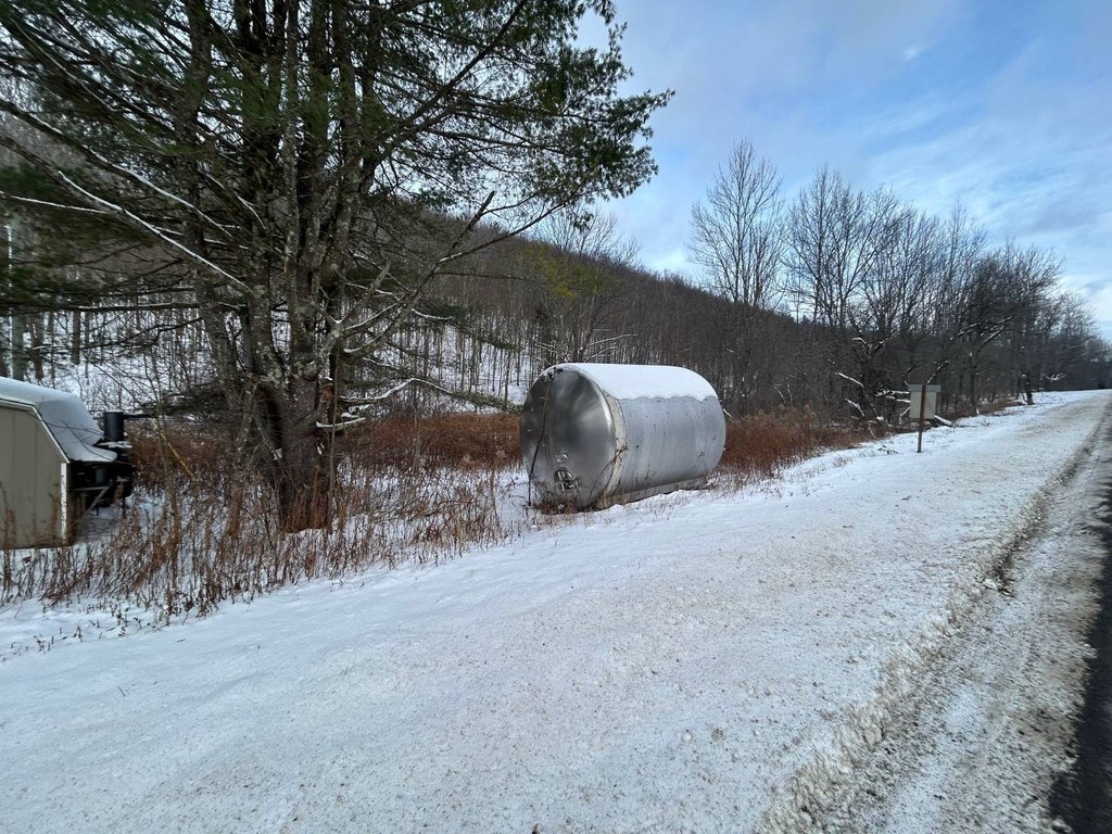 Picture 5