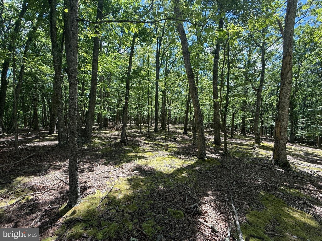 Picture 15