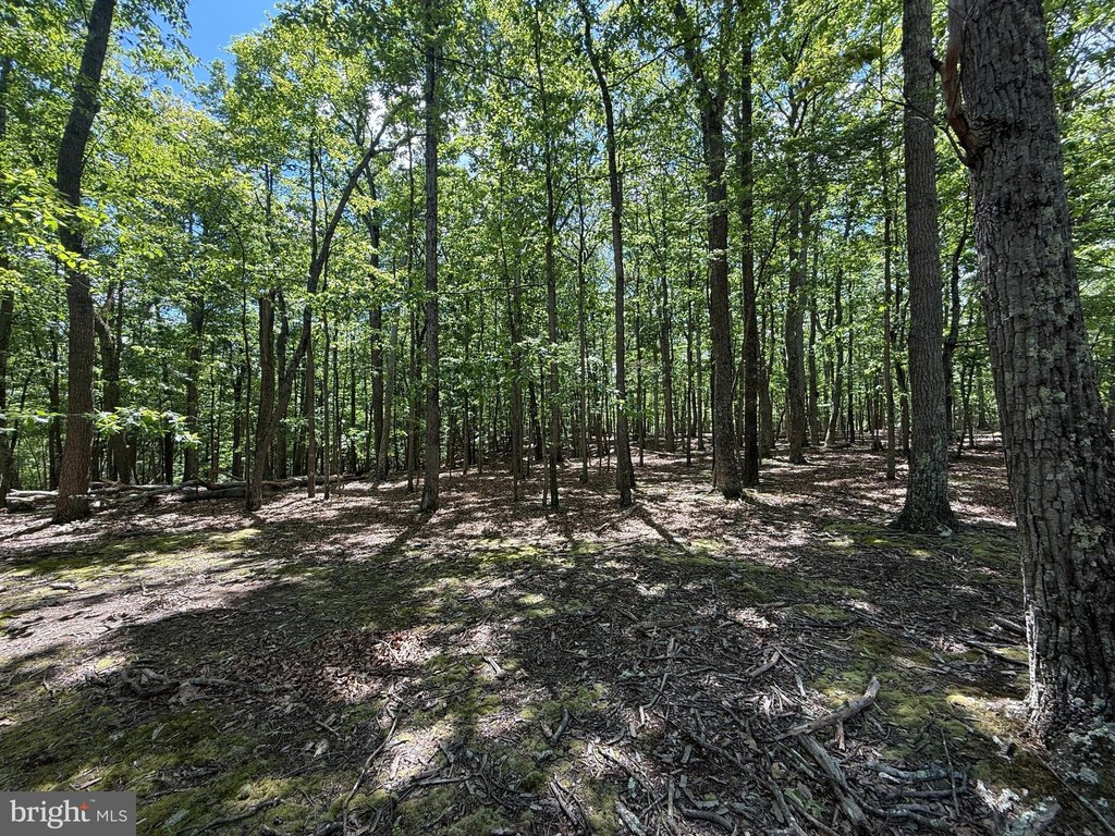 Picture 16