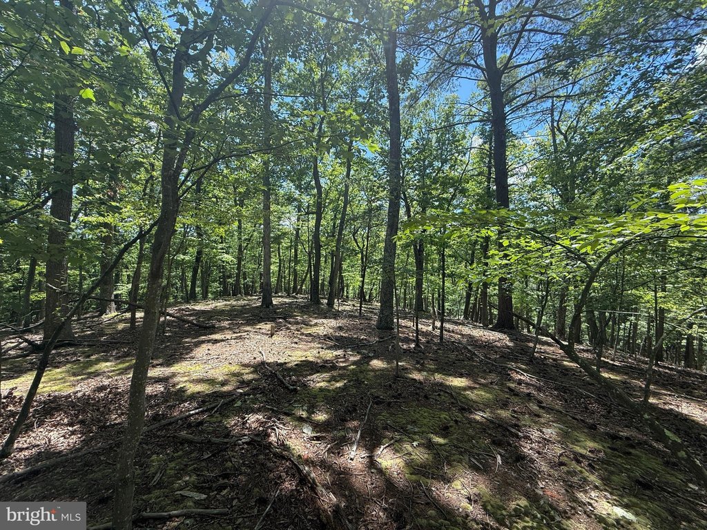 Picture 21