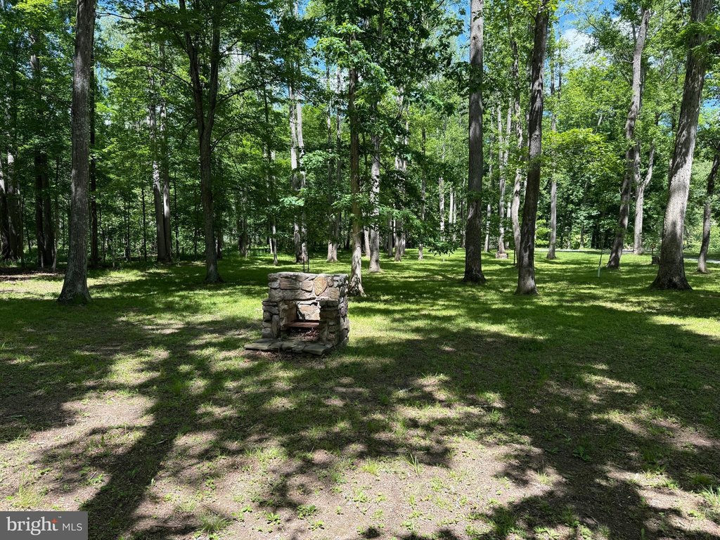 Picture 29