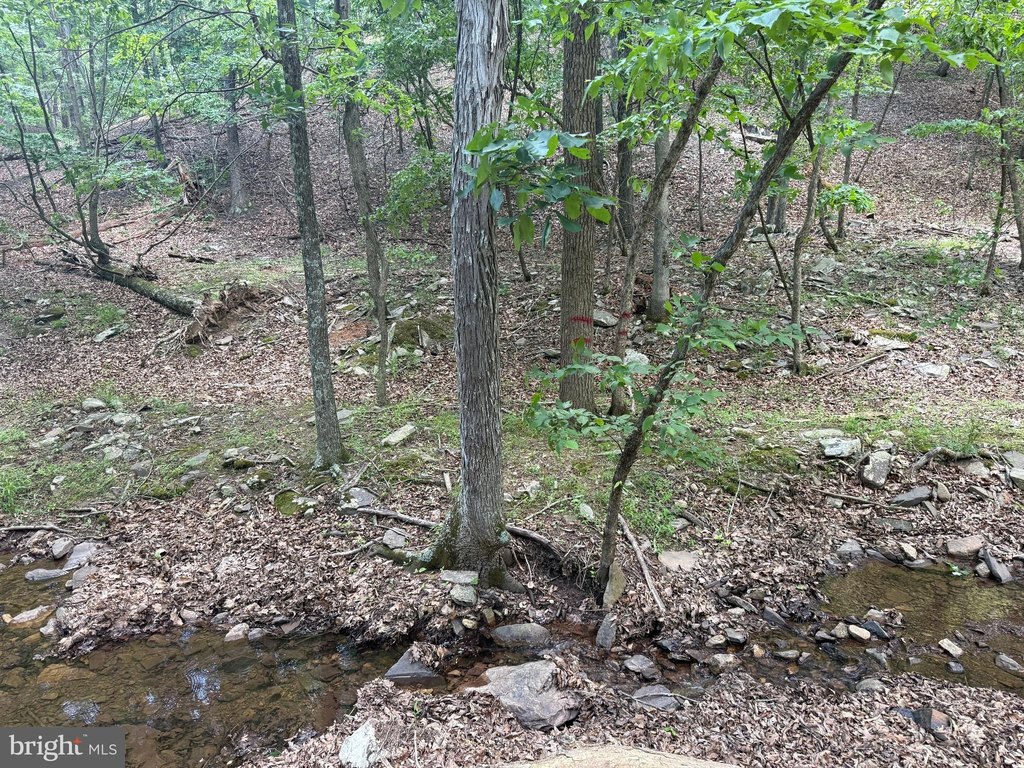 Picture 24