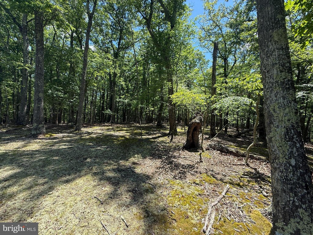 Picture 14