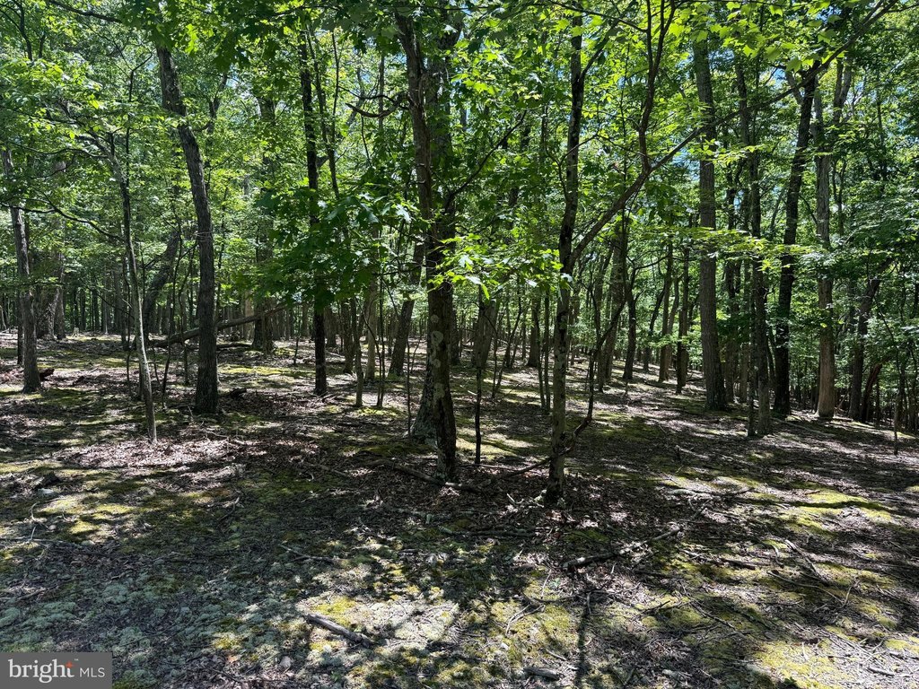 Picture 11
