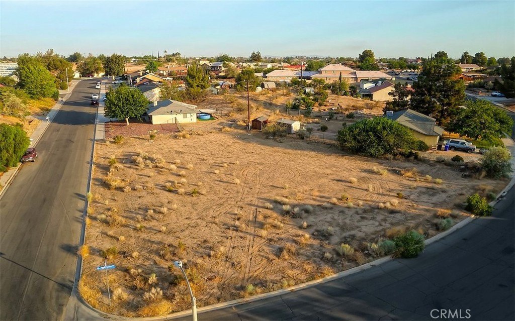 Picture 2