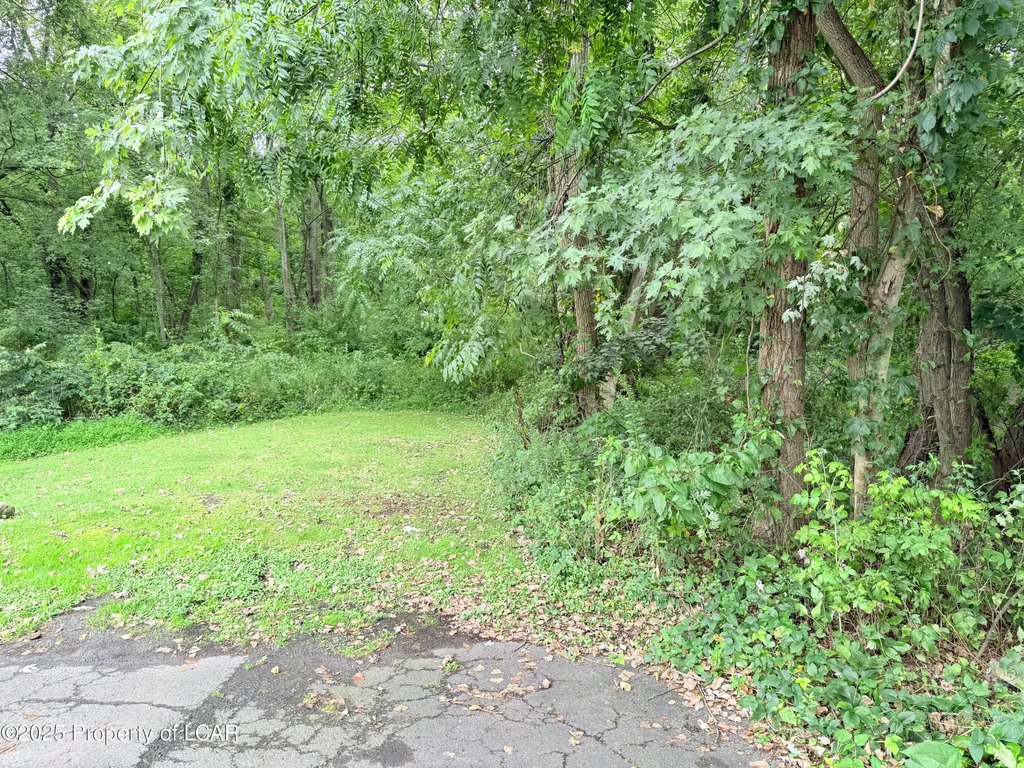Picture 5