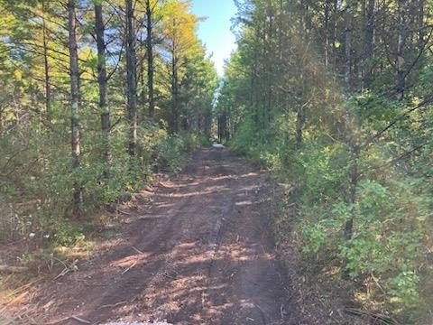 Wooded Land Parcel For Sale
