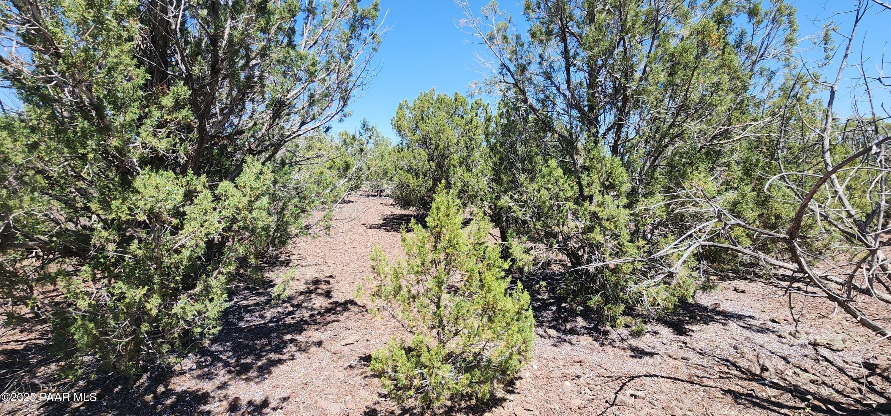 Land in Williams, Arizona