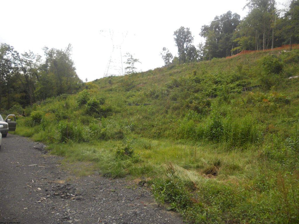 Picture 13